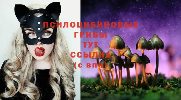 spice Михайловка