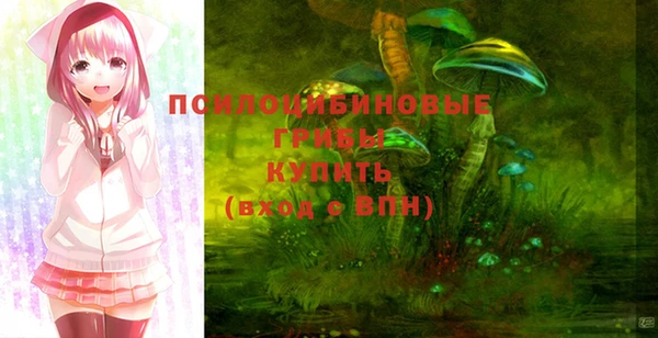 амф Абдулино